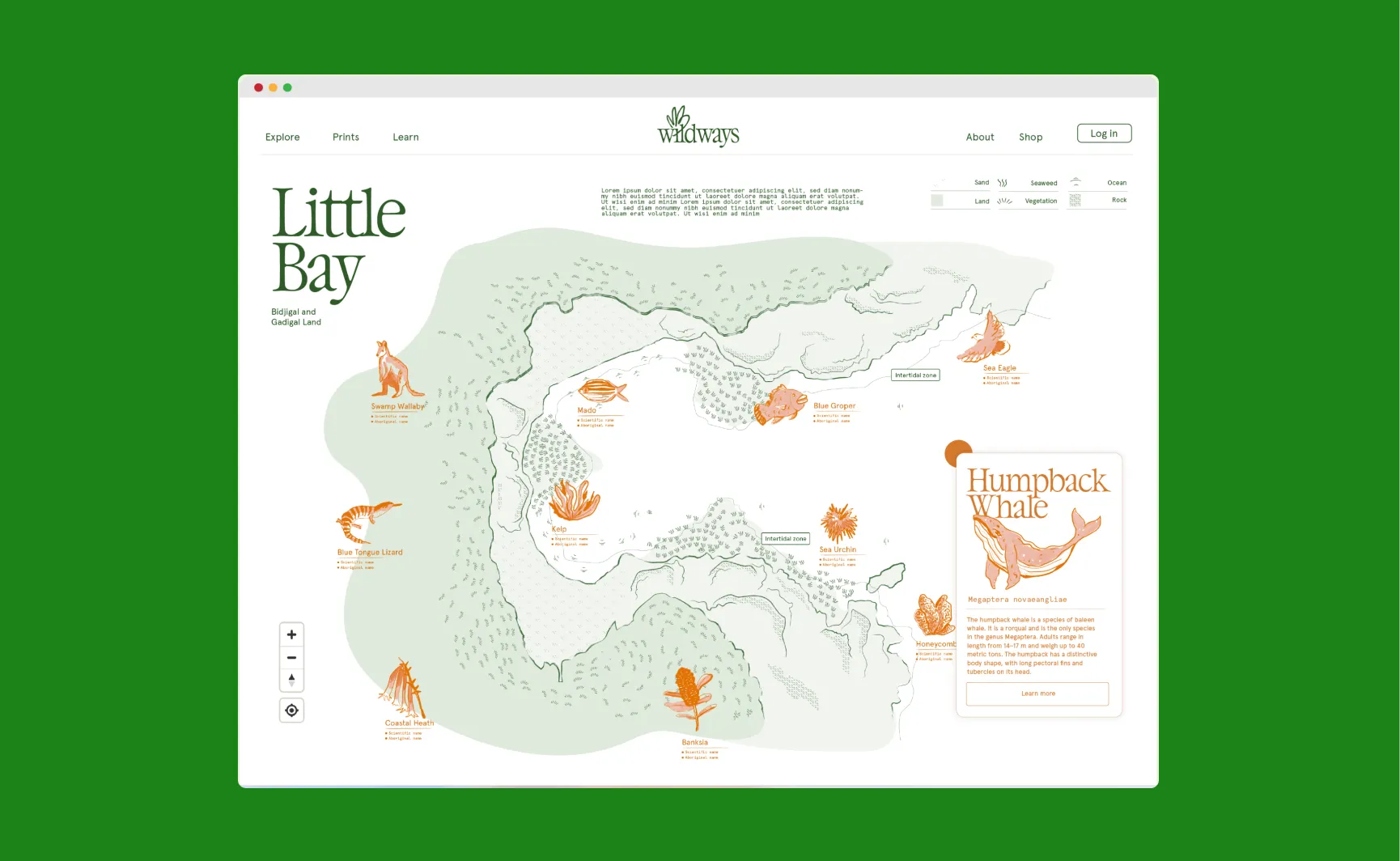 Map exploration of the Little Bay coastal area